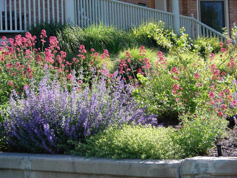 Création de massifs floraux : techniques pour un jardin harmonieux