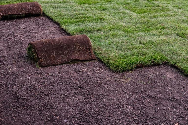 Engazonnement de pelouse, quelles techniques pour un résultat durable ?